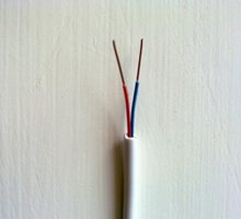 兩芯單根電話線